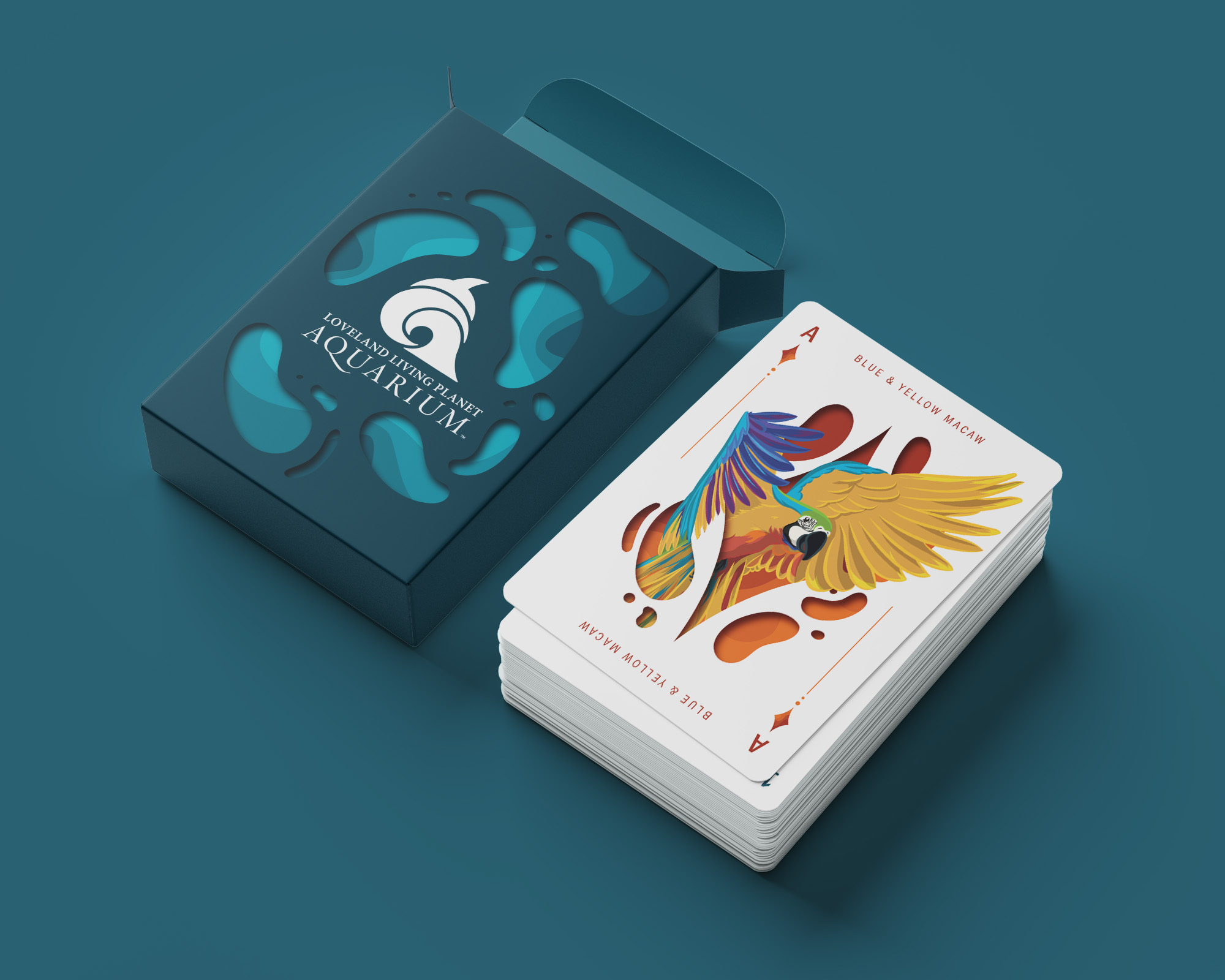 Playing Cards - Box & Stack